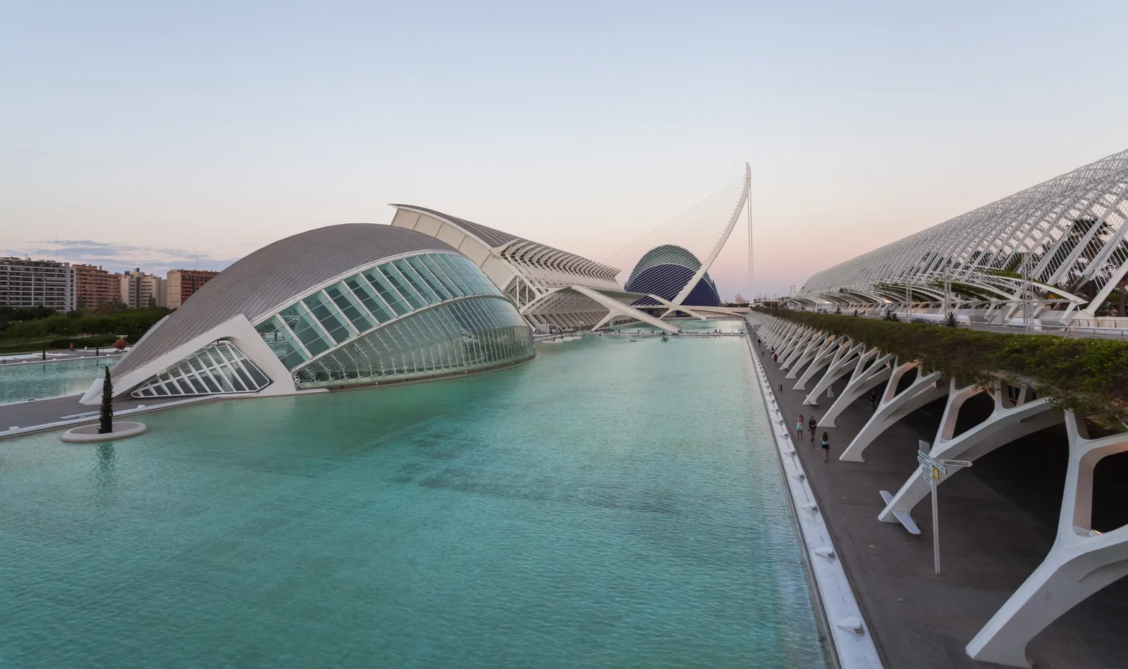 White curved buildings of the Ciutat de les Arts i les Ciencies beside a long reflecting pool.