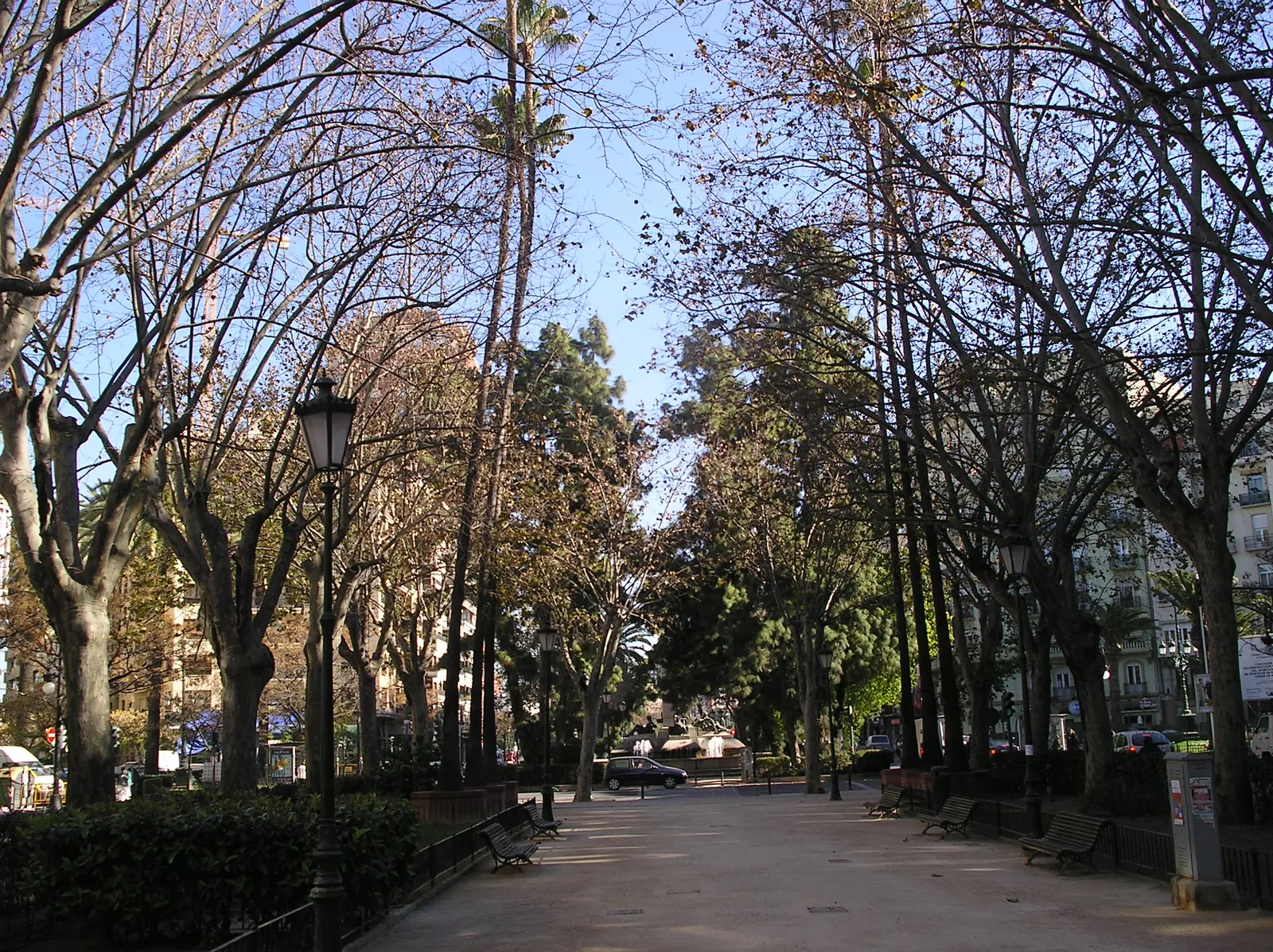 Tree-lined avenue of Gran Via Marques del Turia with apartment buildings on both sides.