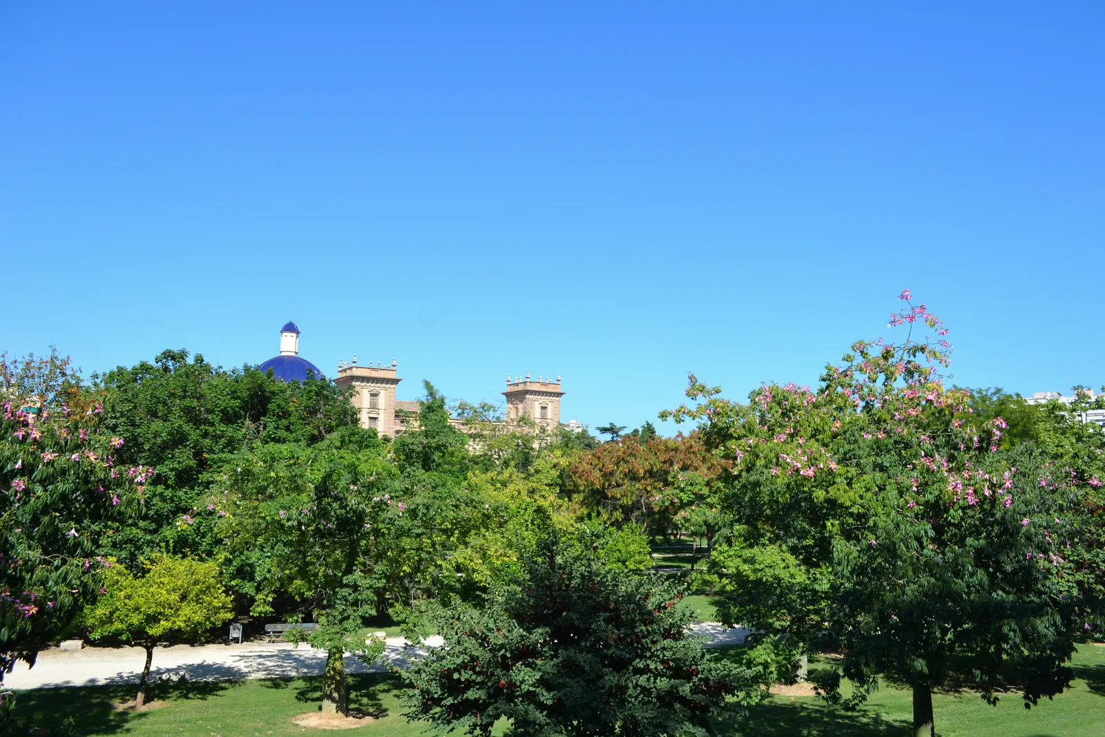 Green lawns and trees in the Jardi del Turia, with city buildings in the distance.