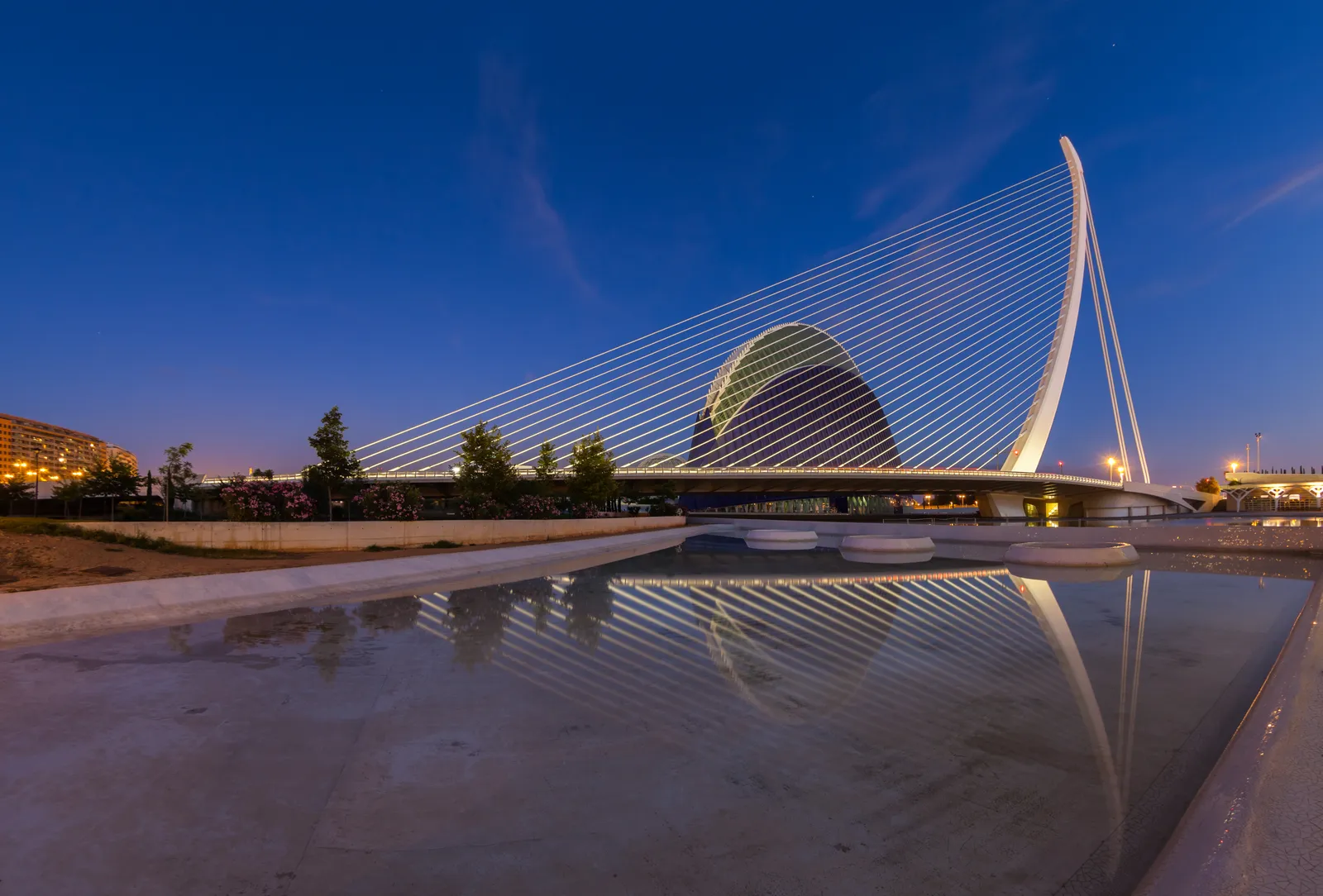 Covered plaza of the Ciudad de las Artes y las Ciencias complex in Valencia
