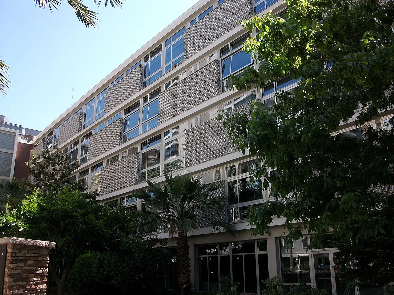 Modern school building with large windows behind palm trees and green leaves.