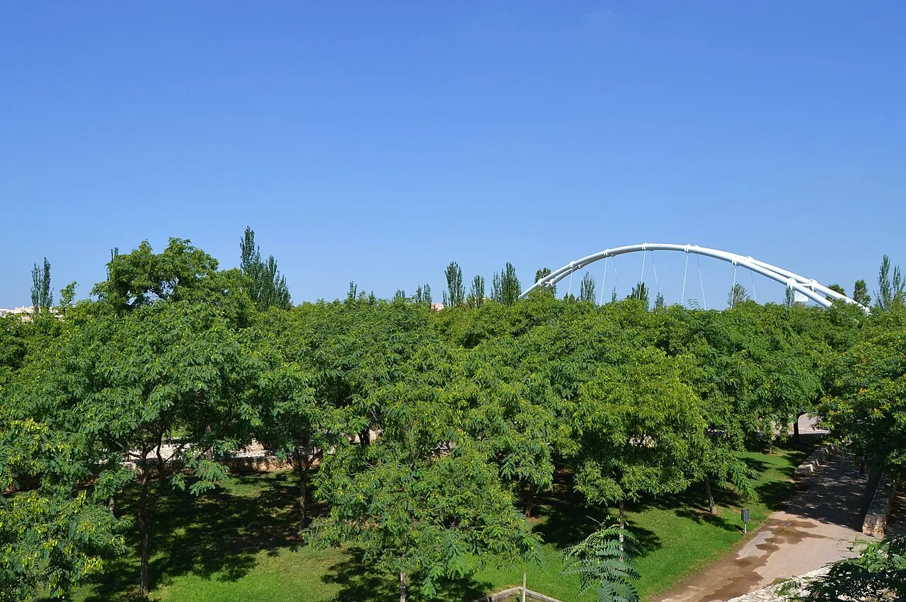 Dense green trees and lawns in Parc de Capcalera with a white arched footbridge in the distance.
